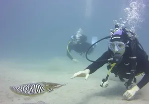 PADI Open Water Diver Course