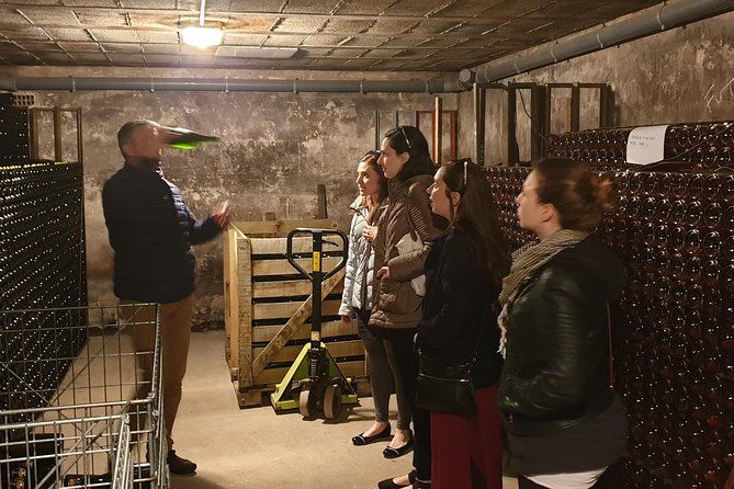 Private day tour in Champagne