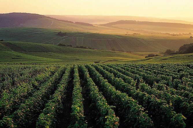 Private Full-Day Tour of Champagne Region