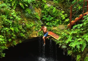 Discover 3 amazing cenotes. Includes transport & snack