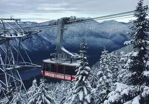Vancouver Perfect Day Tour Grouse Mountain`& Capilano Suspention Bridge Private