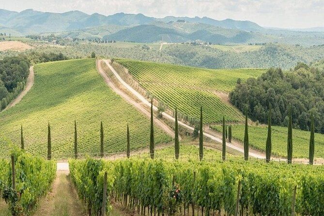 Private Chianti Winery Tour from Livorno with pick up and drop off