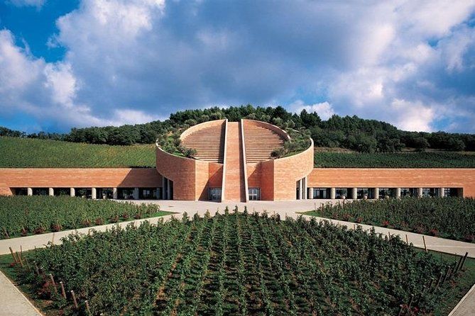 Suvereto Wine Experience PRIVATE TOUR from SIENA