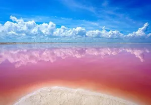 Pink Lagoons Las Coloradas & Rio Lagartos Boat Tour from Tulum