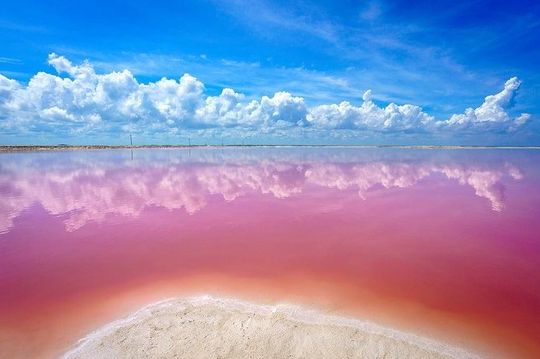 Las Coloradas & Rio Lagartos, Beautiful Eco Adventure from Tulum City