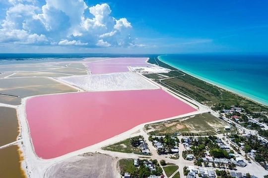 Las Coloradas Tour! Boat Ride, Lunch & Rio Lagartos from Cancun