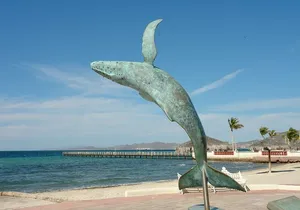 La Paz, Todos Santos, Balandra or Tecolote Beach Tour