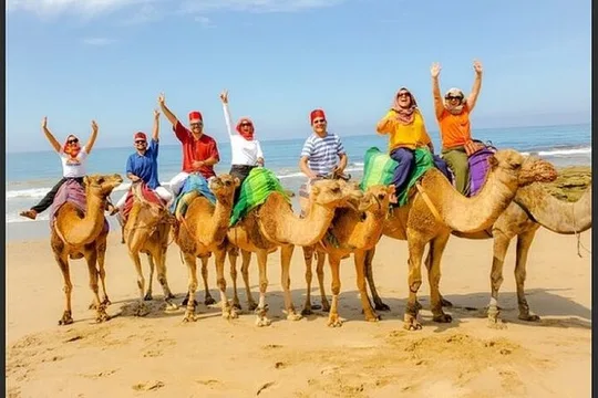Authentic Private Tangier Tour from Estepona Camel Ride & Lunch