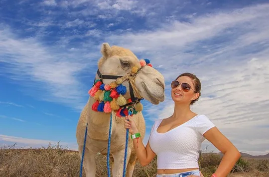 Cabo Sunset Beach Camel Ride with Mexican Buffet and Tequila