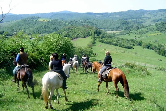Horseback riding excursion