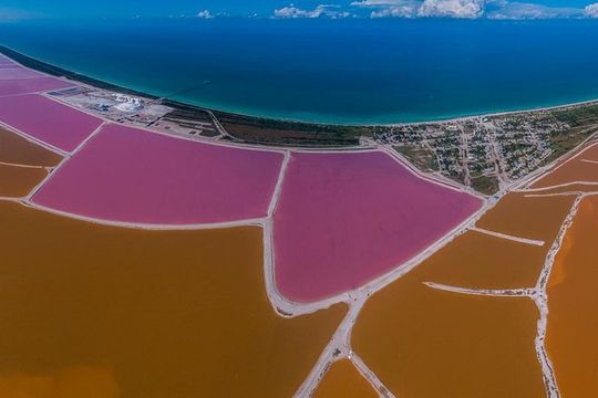 Las Coloradas Tour With Transportation from Playa del Carmen