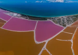 Las Coloradas Tour With Transportation from Playa del Carmen