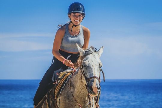 Horseback Riding Beach and Desert in Cabo by Cactus Tours Park