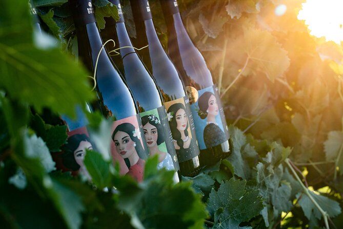 Marsala Tasting of 5 Sicilian organic wines
