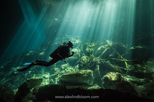Cenotes 2-Day Scuba Diving Package in the Riviera Maya