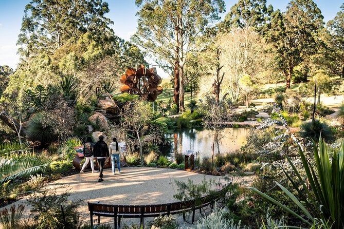 Dandenong Ranges Private Day Tour