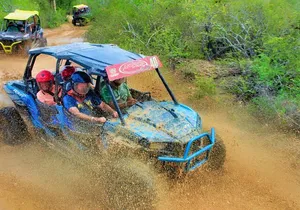 Half-day Wild Desert Polaris Razor UTV Tour