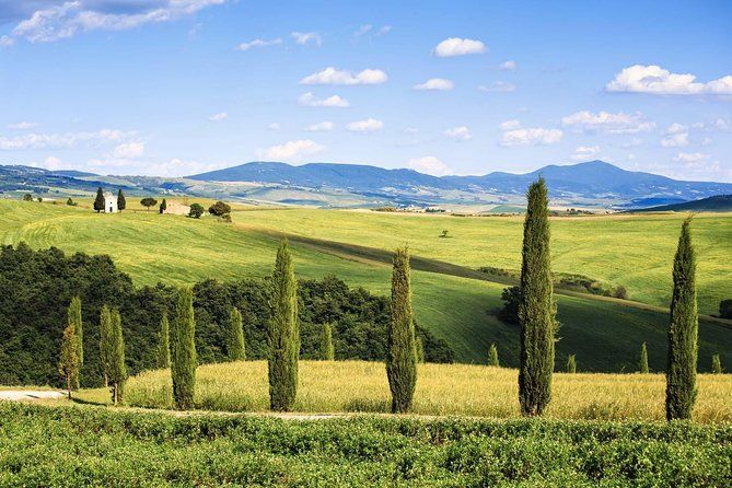 Livorno shore excursion: Bolgheri and Supertuscan private tour