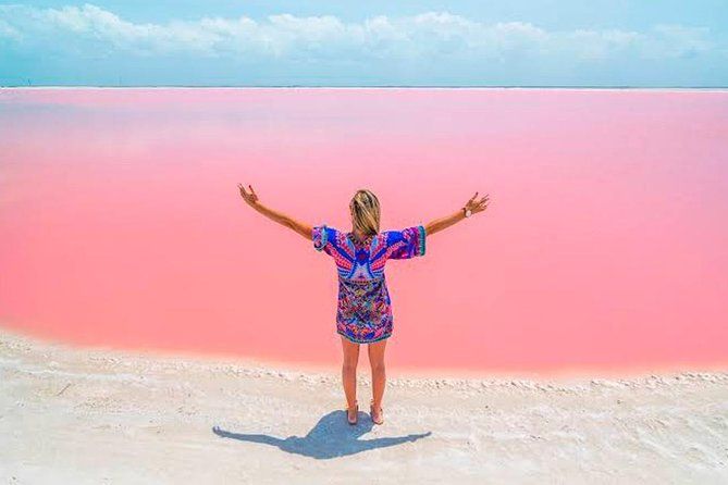 Las Coloradas Tour With Transportation from Playa del Carmen