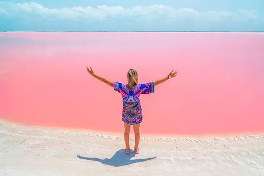 Las Coloradas Tour With Transportation from Playa del Carmen