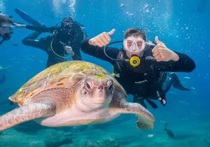 Discover Scuba Diving program: shore + boat dives