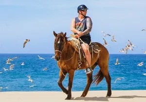 Desert and Beach Horseback Riding Experience in Cabo