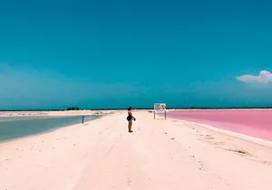 Pink Lake Las Coloradas + Rio Lagartos Reserve! Transportation from Cancun