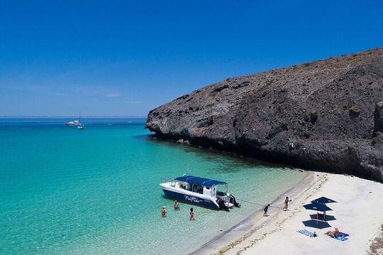 Adventure on Balandra Beach: Sea Lions & Snorkeling Tour