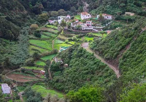 Private 6-hour Tour of La Laguna and Anaga Biosphere Reserve w/ Hotel pick-up