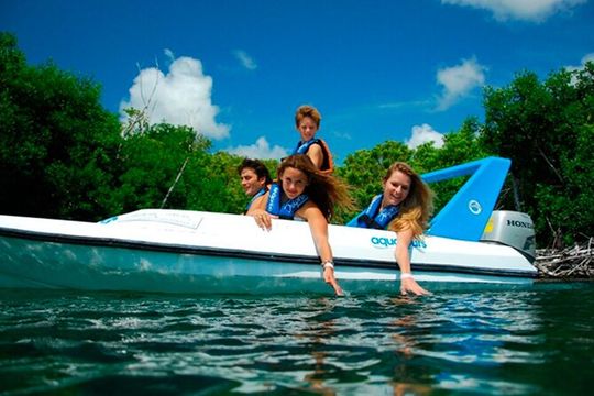 Mangrove Jungle & Nichupte Lagoon Adventure – Single Ride