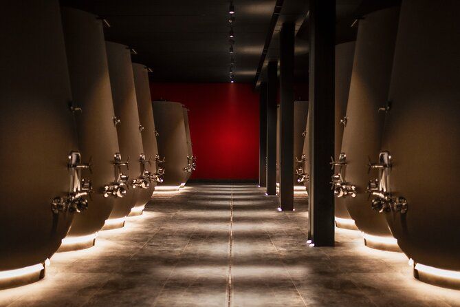 Valpolicella Wine Tasting Experience & Light Lunch
