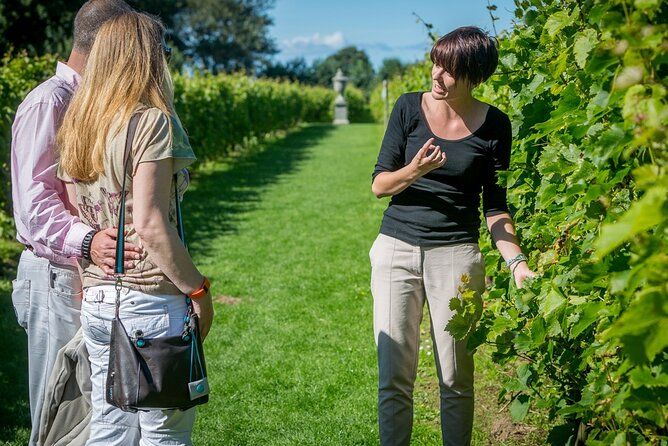 Beaune wine tour - Wine tasting included - Professional guide!