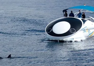 Boat trip along the Northwest Coast of La Palma