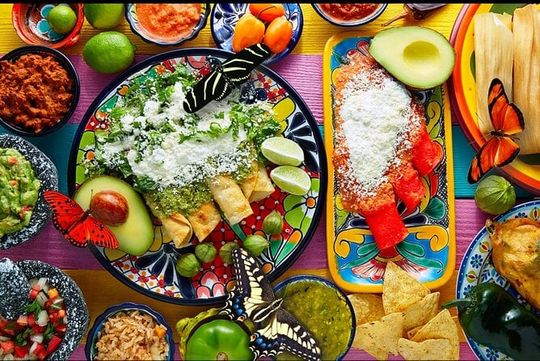 Butterfly Sanctuary, Museum & Lunch with Transport