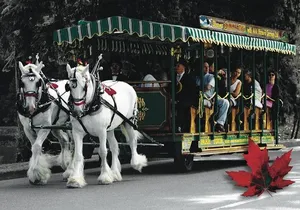 Stanley Park Horse Drawn Tour in Vancouver