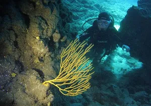 DISCOVER SCUBA DIVING - First step to your certification