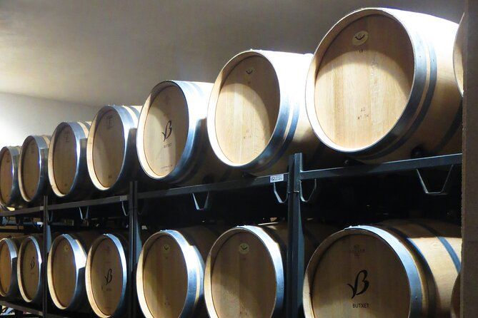 Mallorca Bodega & Olive Minibus Tour incl. Pick-up South Coast