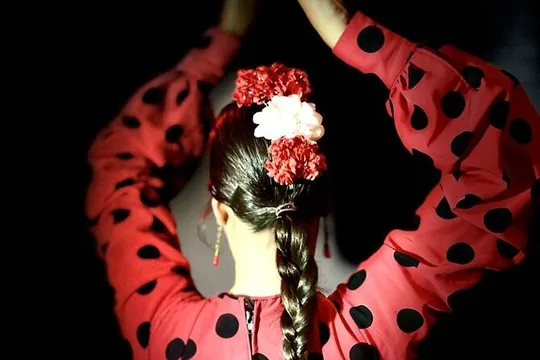 Flamenco show in the heart of Triana