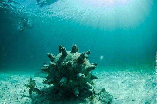 Drive the best speedboat in Cancun and feel the adrenaline.