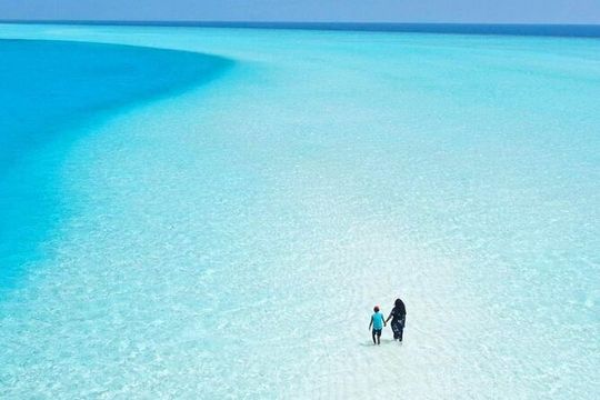 Holbox, Cenote & Two Island! + Punta Mosquito from Cancun