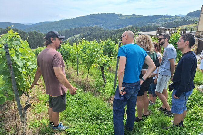 Private Gastronomy tour with tastings from Santander