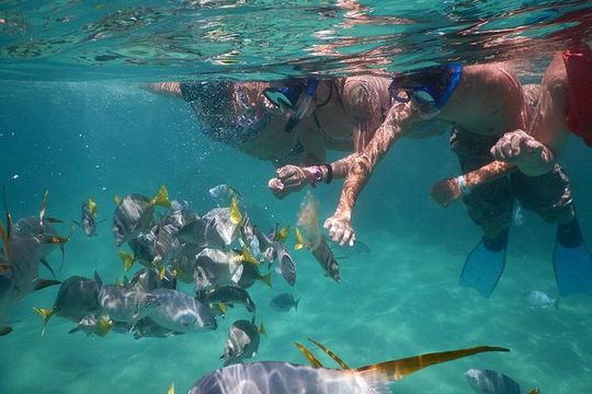 Land's End & Snorkel Tour in a Glass Bottom Boat (VisitA Cabo)
