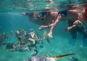 Land's End & Snorkel Tour in a Glass Bottom Boat (VisitA Cabo)