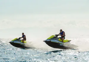 Single Jet Ski Safari 40 Minute Guided Tour of Tenerife