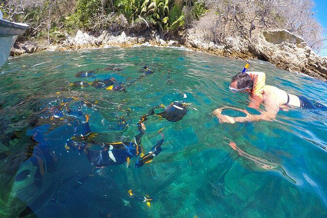 Private Bay Tour and Snorkeling