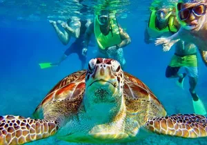 Tulum Mayan Ruins and Snorkeling with Turtles at Akumal