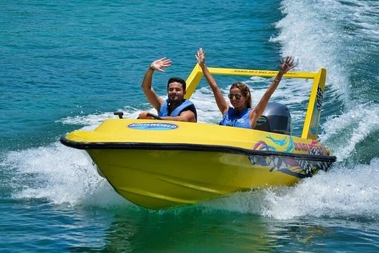 Mangrove Jungle Speedboat Experience