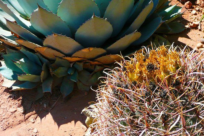 From Mazatlan - La Noria Artisan Tour The Blue Agave