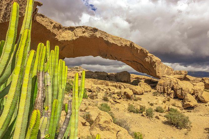 Tenerife South Private Tour: Secrets of the Volcanoes