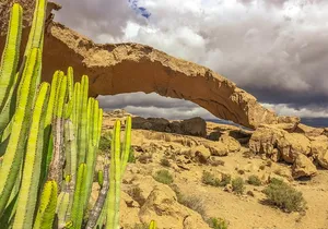 Tenerife South Private Tour: Secrets of the Volcanoes